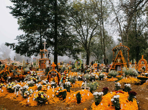 Celebrating Life on Mexico's Day of the Dead